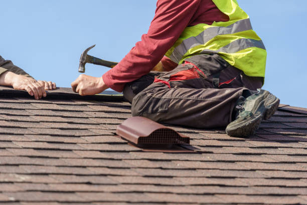 Best Roof Gutter Cleaning  in Madison Heights, VA