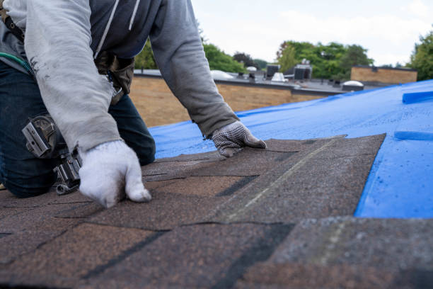 Quick and Trustworthy Emergency Roof Repair Services in Madison Heights, VA