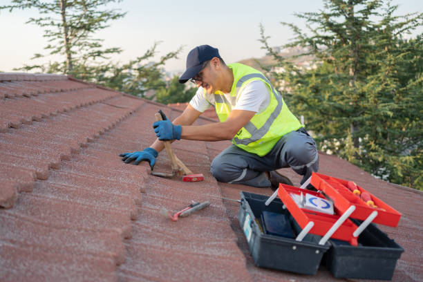 Best Roof Replacement Cost  in Madison Heights, VA