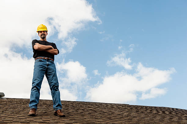 Best Gutter Installation and Roofing  in Madison Heights, VA