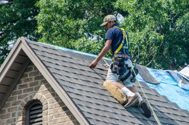 Best Roof Restoration Services  in Madison Heights, VA