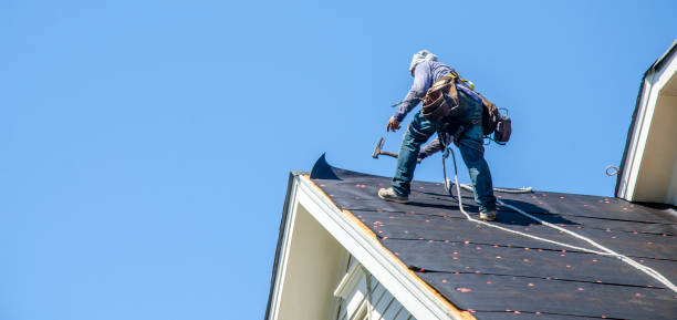 Best Metal Roofing Contractor  in Madison Heights, VA